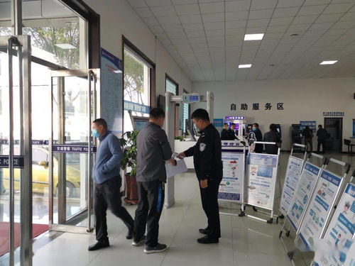 京通北京车牌代办全流程解析：老司机教你避开这7大坑